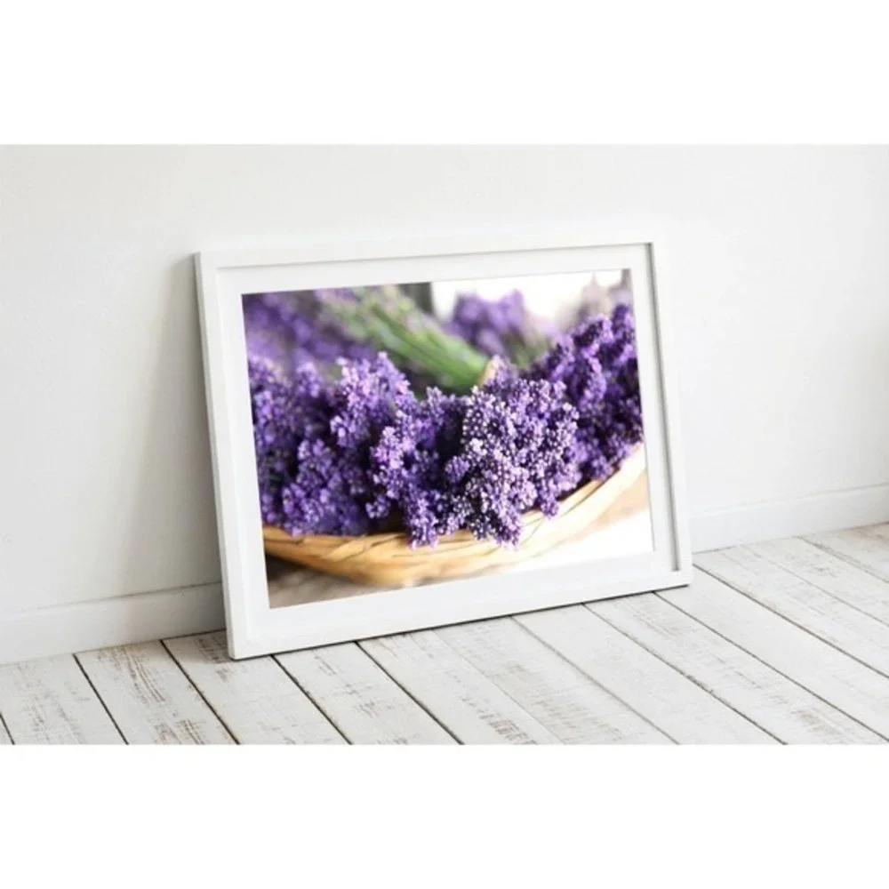 Lavender Floral Photography Framed Wall Art Purple Botanical Print Size 5x7